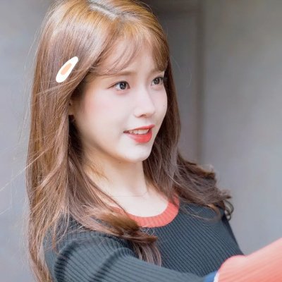 森林里的熊先生